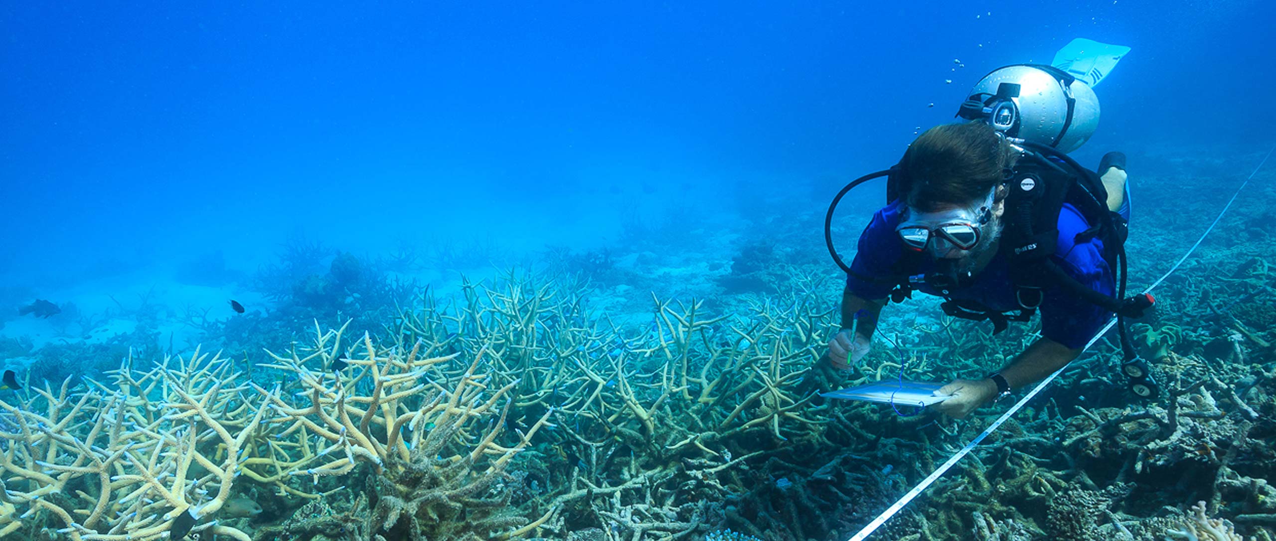 The Centre for Marine Science @UQ St Lucia. Photo: UQ